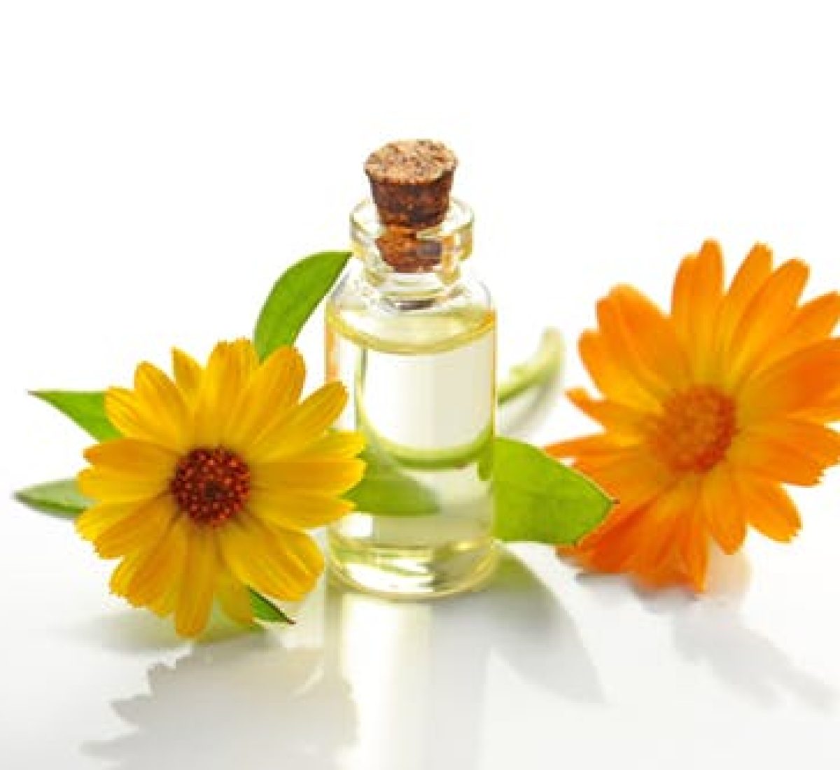 Elixirs floraux Fleurs de Bach