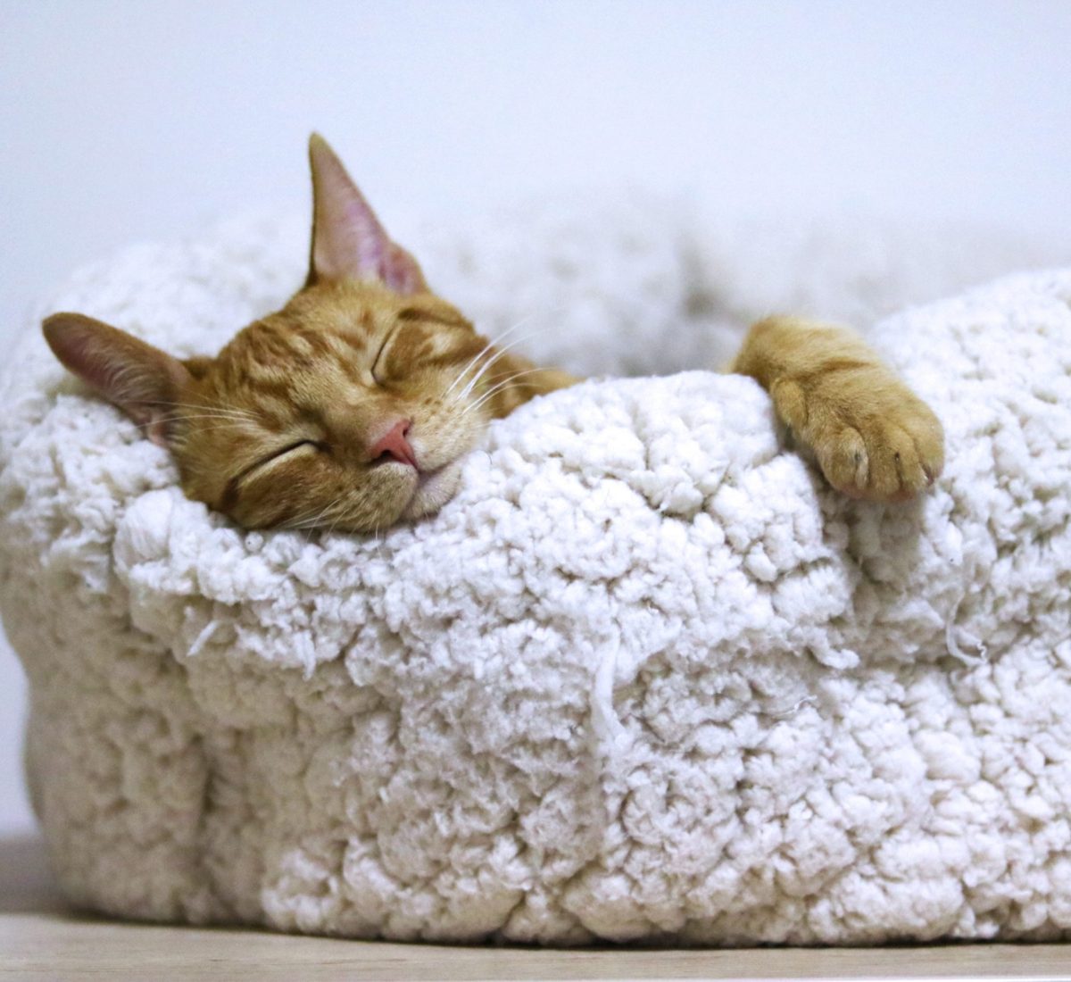 Sommeil Retrouver le sommeil